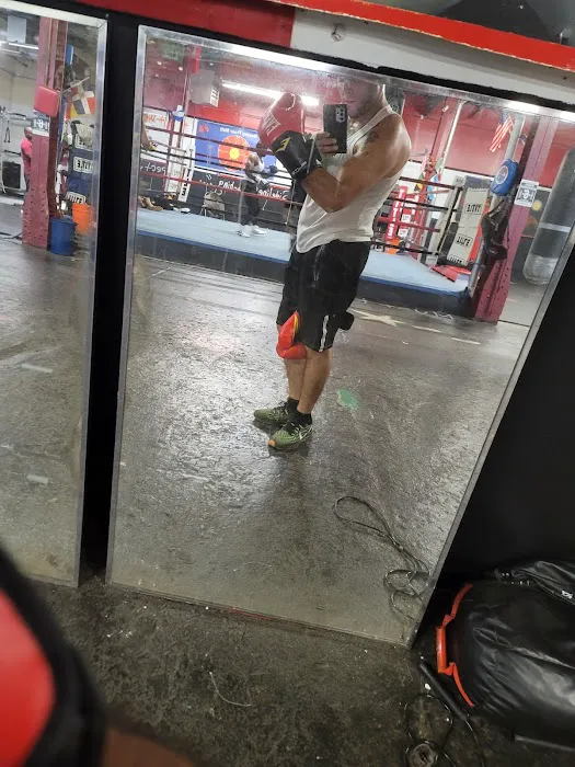 Brunswick Boxing Stars Picture 2