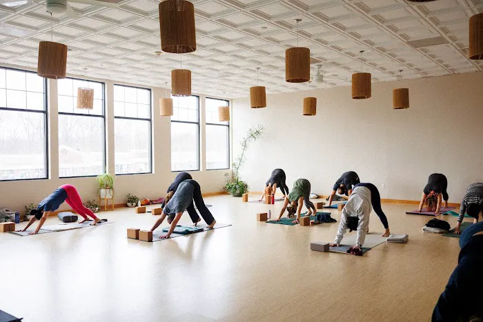 Dhyana Yoga Picture 4