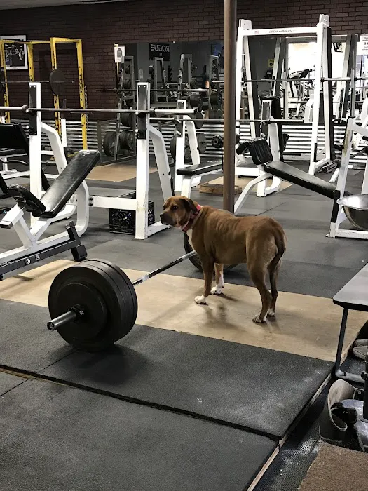 Pure Focus Sports Club Picture 4