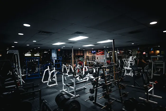 Pure Focus Sports Club Picture 6