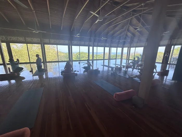Twisted Sister Yoga Picture 3