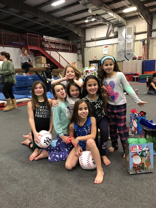 Epic Gymnastics Picture 4
