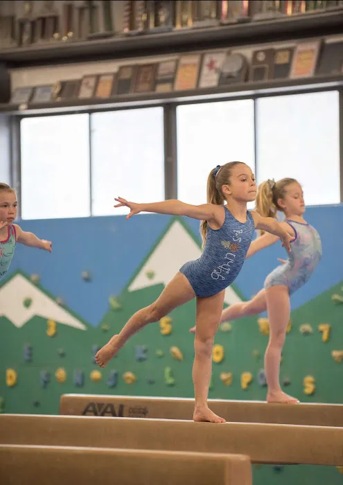 Epic Gymnastics Picture 6