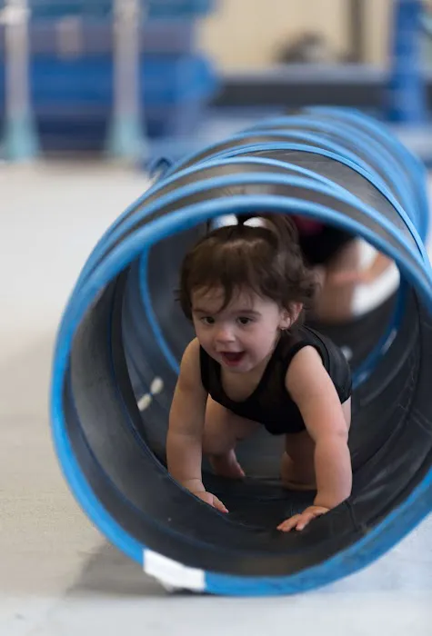 Epic Gymnastics Picture 2