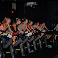 Landmark Athletics and Fitness ico
