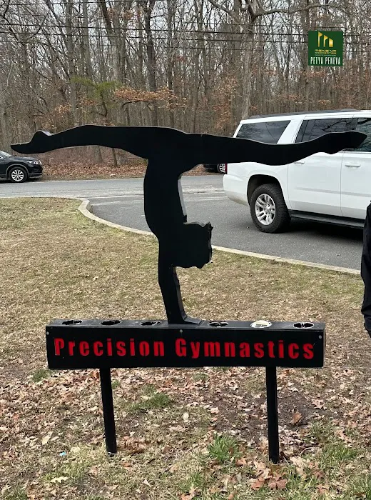 Precision Gymnastics Picture 2