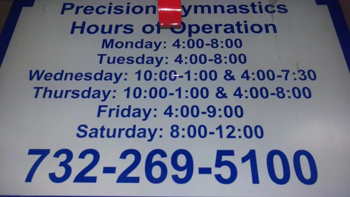 Precision Gymnastics Picture 3