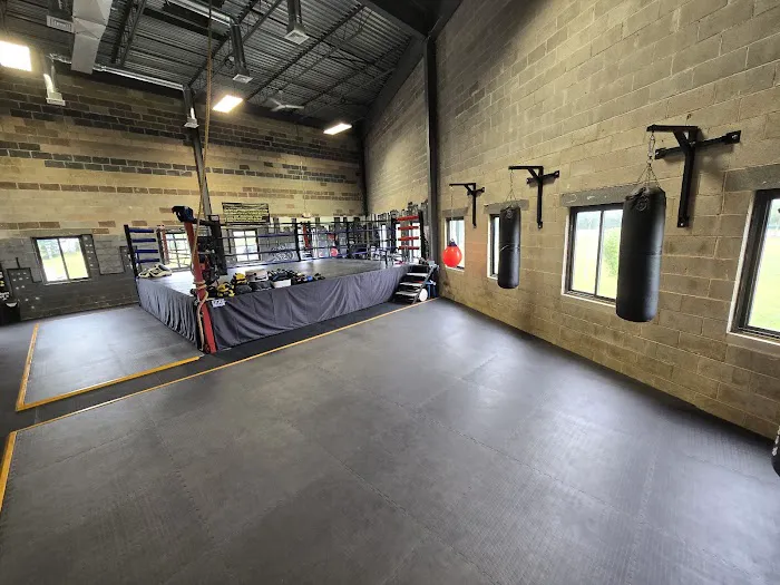 Ironside Muay Thai Picture 2