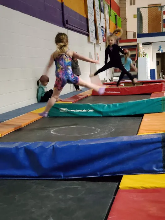 CS Gymnastics Inc. Picture 8