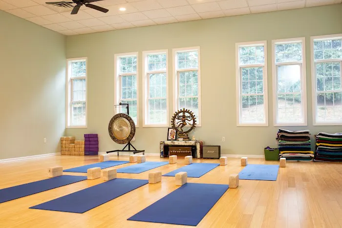 Gopi Yoga Center - Open During Class Times Picture 1