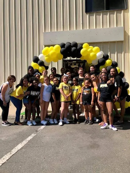 The Cheer Hive Picture 1