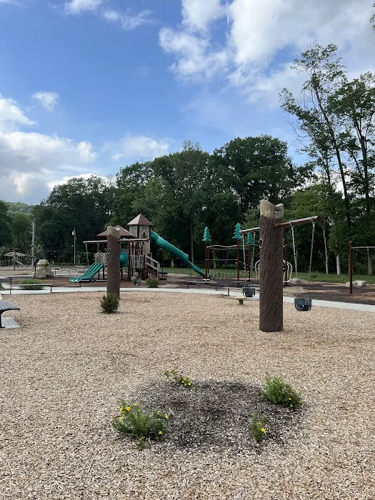 Fitness Court at Arthur Lewis Park Picture 5