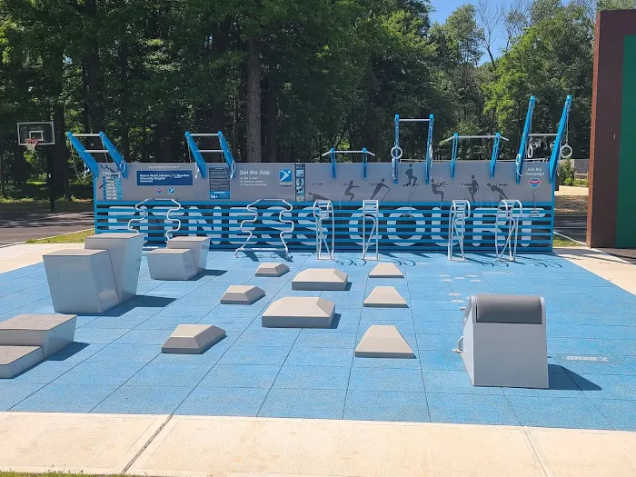 Fitness Court at Arthur Lewis Park Picture 10