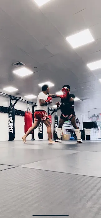 Weapons 9 Muay Thai Picture 6