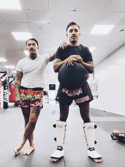 Weapons 9 Muay Thai Picture 8