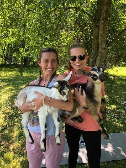 Goat for the Soul, Goat Yoga Picture 3