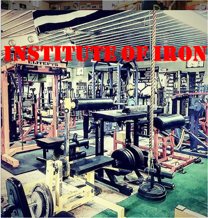INSTITUTE OF IRON Picture 10