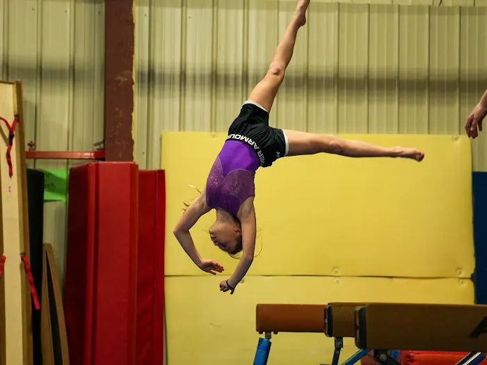 Balance Gymnastics and Wellness Center Picture 4