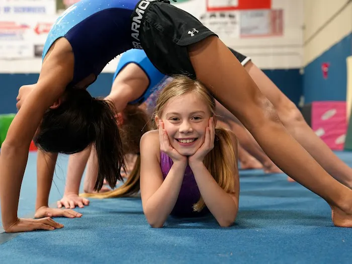 Balance Gymnastics and Wellness Center Picture 1