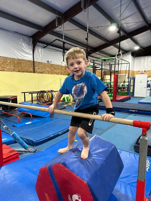 Balance Gymnastics and Wellness Center Picture 7