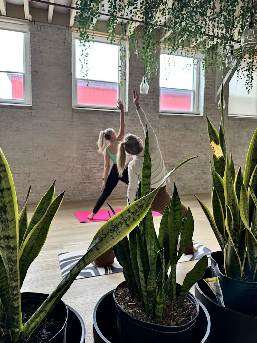 Get Flexy Fitness Studio Picture 9