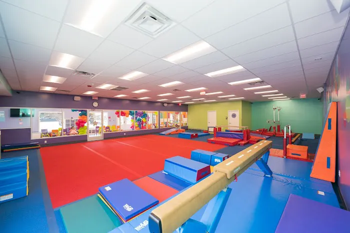 The Little Gym of Lafayette Township Picture 6