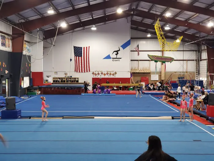 Giant Gymnastics of Sparta Picture 2