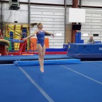 Giant Gymnastics of Sparta ico