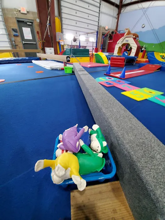 Giant Gymnastics of Sparta Picture 3