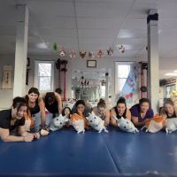 Krista Vella Fitness ico