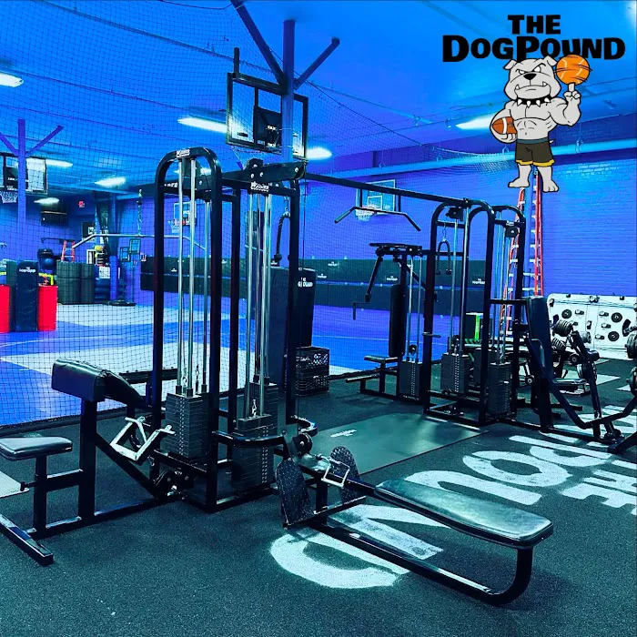 The DogPound: Youth Sports Training Facility Picture 4