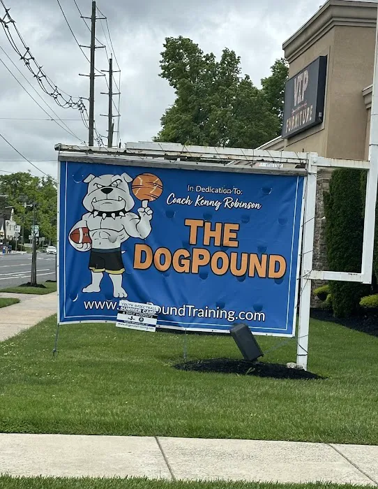 The DogPound: Youth Sports Training Facility Picture 1