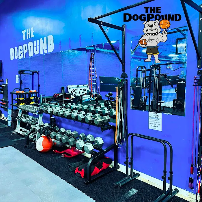 The DogPound: Youth Sports Training Facility Picture 5