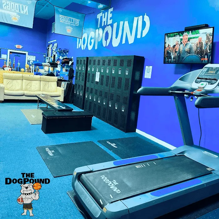 The DogPound: Youth Sports Training Facility Picture 6