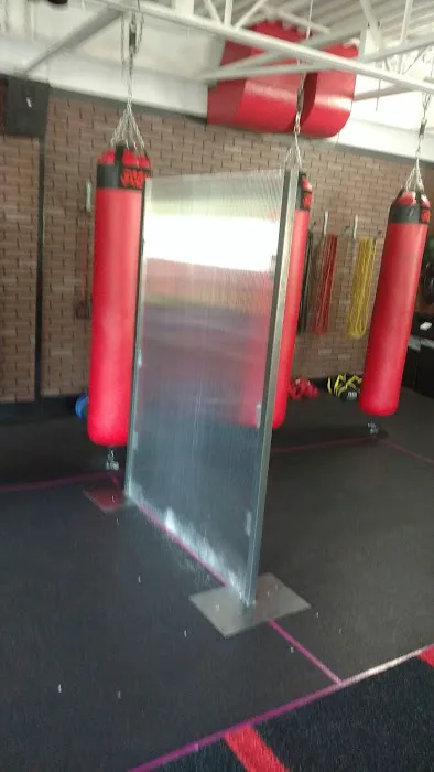 Ovox Gym & Training Center Picture 1