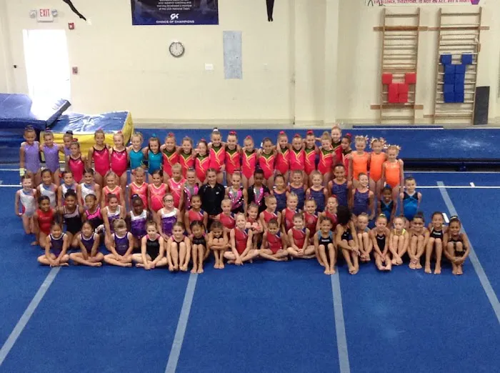 Rebound Gymnastics Elite Picture 2