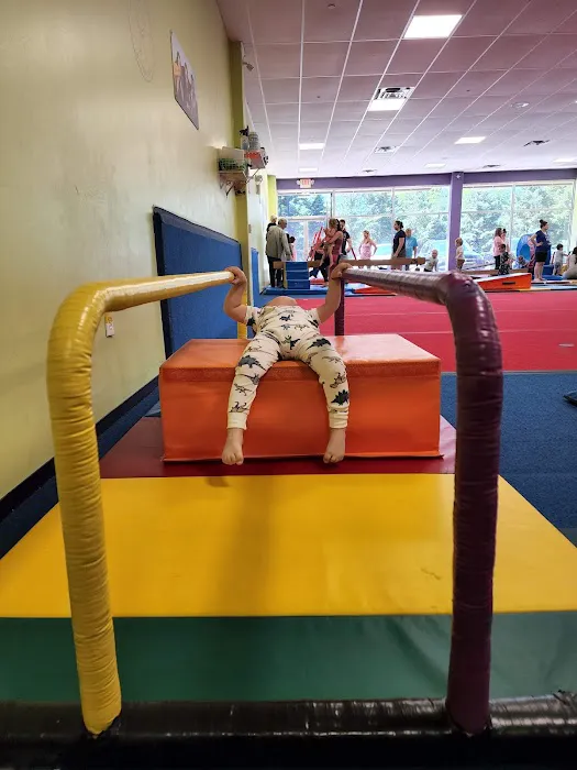 The Little Gym of Sea Girt Picture 5