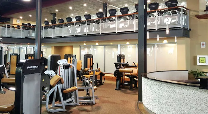 Vive Fitness Picture 5