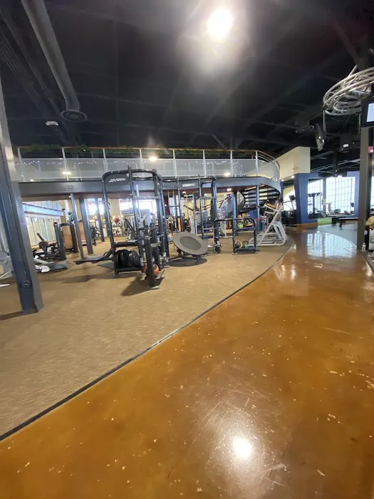 Vive Fitness Picture 4