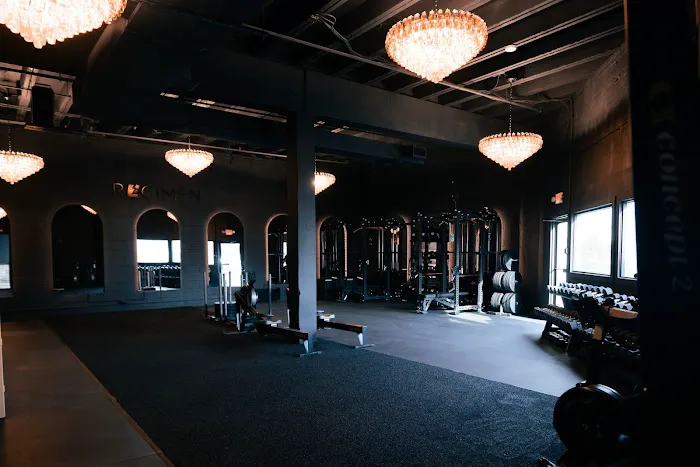 Regimen Performance and Recovery Picture 8