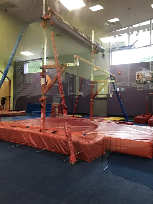The Little Gym of Scotch Plains Picture 9
