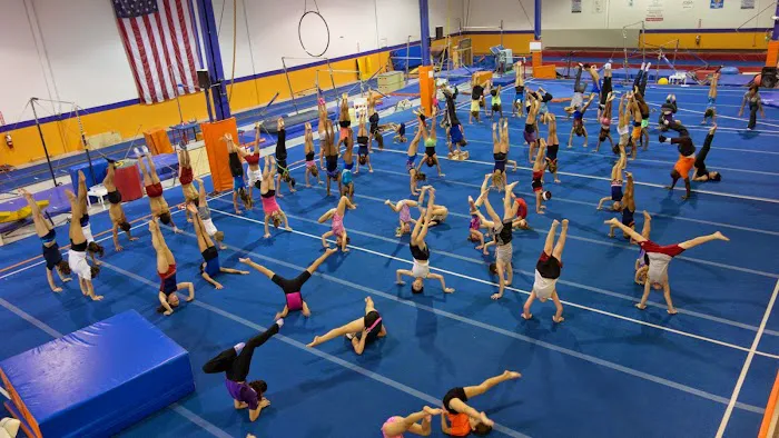 Indigo Gymnastics Center Picture 1