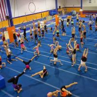 Indigo Gymnastics Center ico