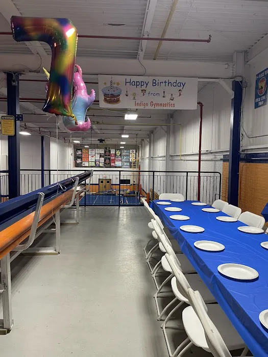 Indigo Gymnastics Center Picture 3