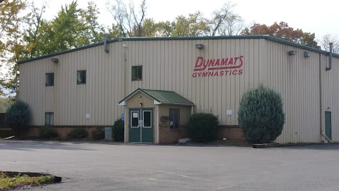 Dynamats Gymnastics Center Picture 6