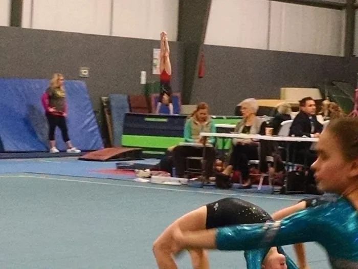 Dynamats Gymnastics Center Picture 4