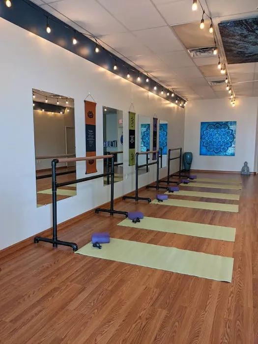 Tula Virya Yoga Picture 4