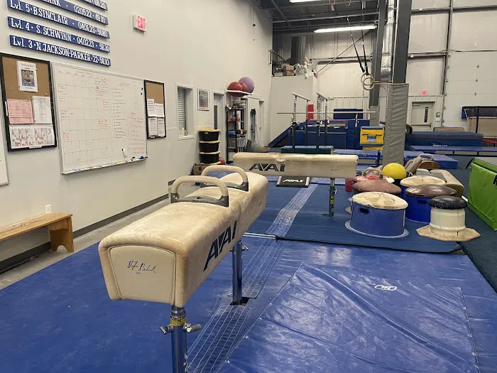 Centre Elite Gymnastics Inc Picture 1