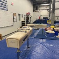 Centre Elite Gymnastics Inc ico