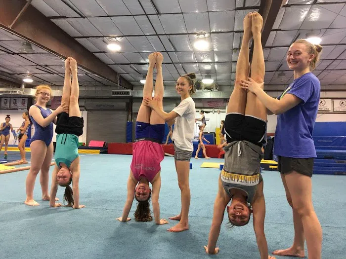 Centre Elite Gymnastics Inc Picture 6
